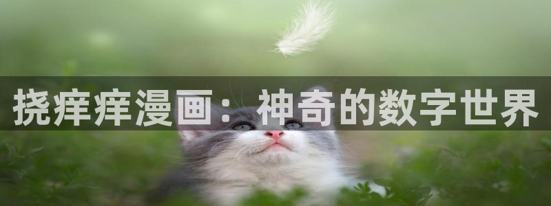 和漫蛙类似的漫画网站：挠痒痒漫画：神奇的数字世界