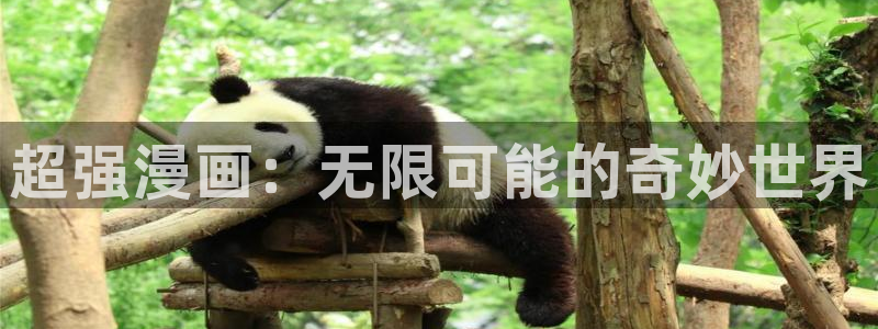 漫蛙manwa正版下载入口：超强漫画：无限可能的奇妙世界