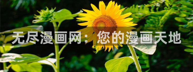 漫蛙ios网址：无尽漫画网：您的漫画天地