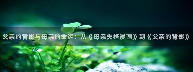 漫蛙画涯：父亲的背影与母亲的命运：从《母亲失格漫画》到《父亲的背影》