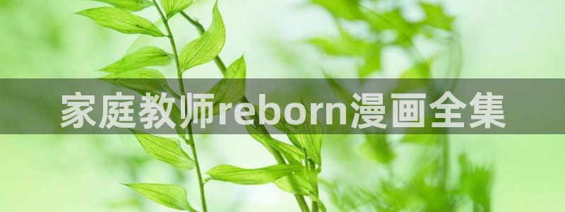 漫蛙manwa2旧版：家庭教师reborn漫画全集