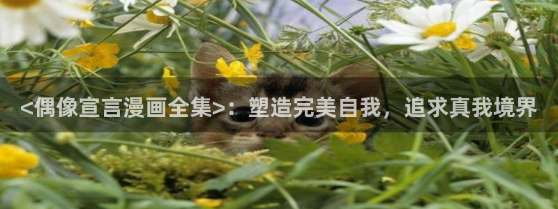 漫蛙漫蛙漫画官网首页进入在线看免费漫画网：<偶像宣言漫画全集>：塑造完美自我，追求真我境界