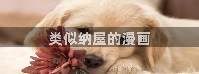 漫蛙里漫画是免费的么：类似纳屋的漫画
