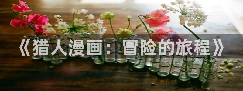 漫蛙书呆子计划漫画免费阅读：《猎人漫画：冒险的旅程》