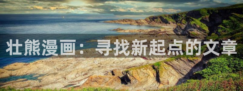 漫蛙2网页版官网：壮熊漫画：寻找新起点的文章