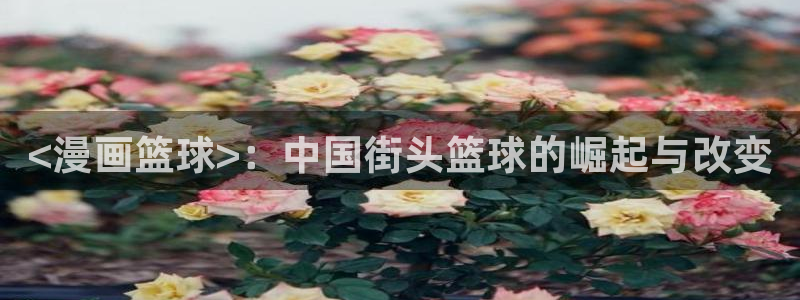 漫蛙首页登录：<漫画篮球>：中国街头篮球的崛起与改变