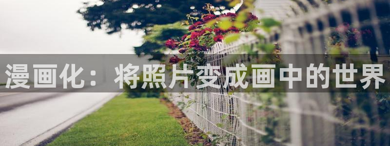 漫蛙manwa官网版：漫画化：将照片变成画中的世界