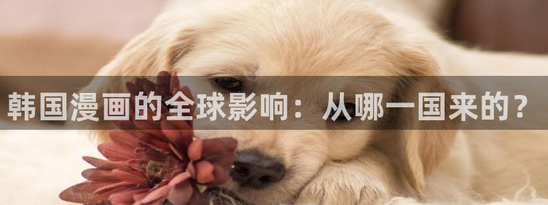 www.漫蛙.com：韩国漫画的全球影响：从哪一国来的？