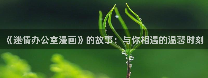 漫蛙manwa漫画入口：《迷情办公室漫画》的故事：与你相遇的温馨时刻