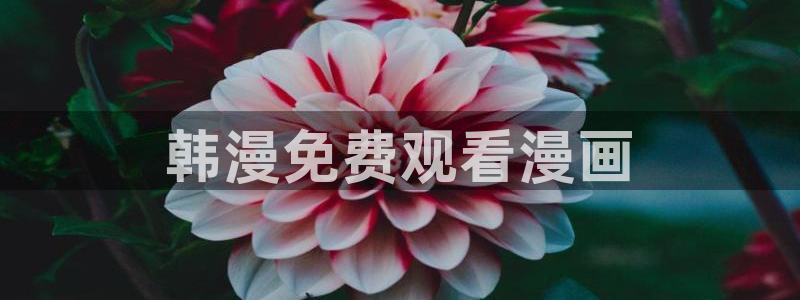 漫蛙网站地址：韩漫免费观看漫画